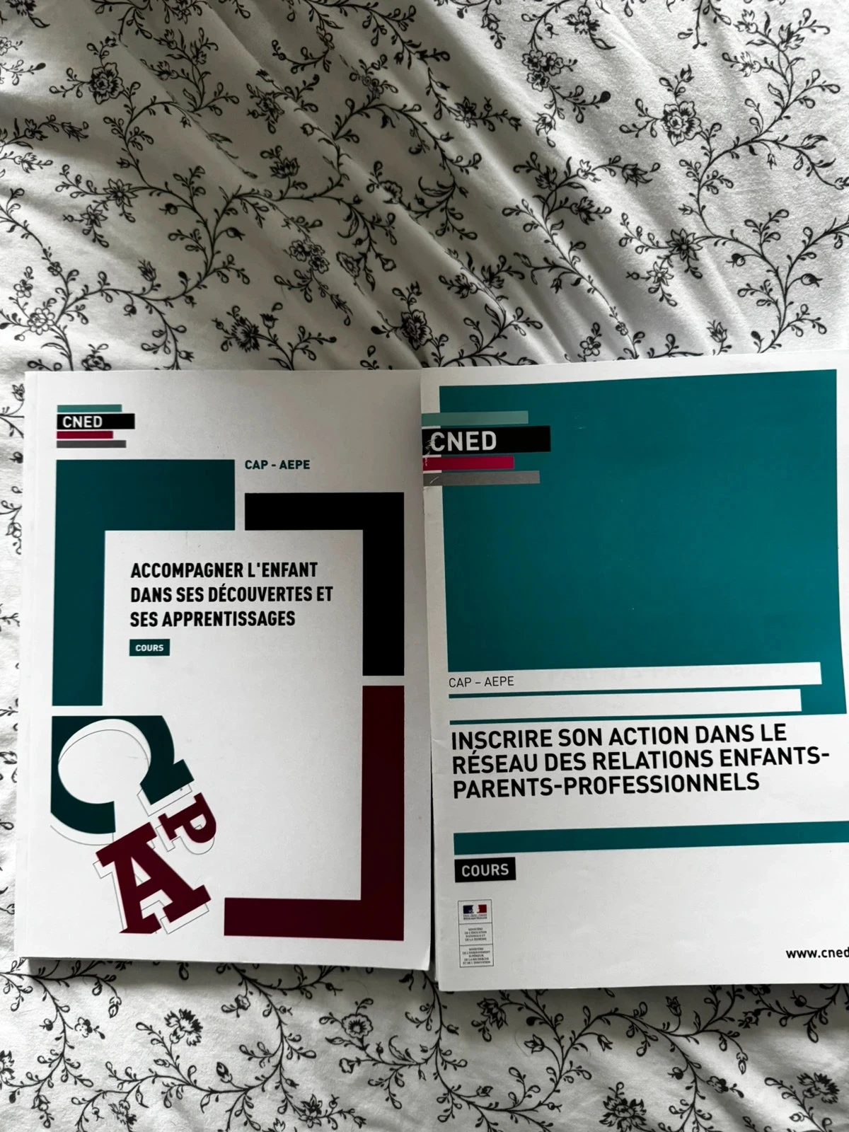 Lot complet de cours CNED – Cap aepe + Préparation Concours Atsem 📚 – photo 4